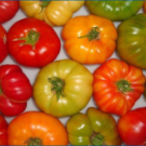 image of red, orange, and green tomatoes