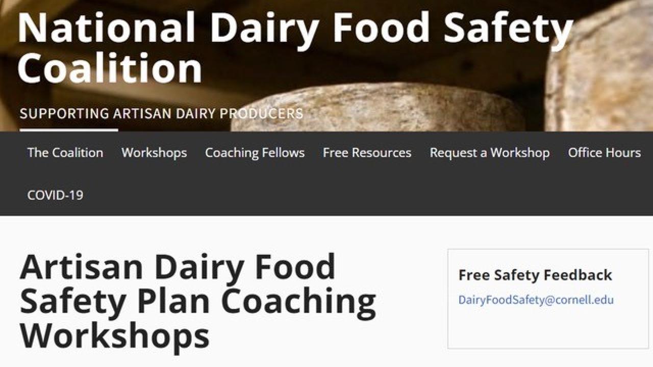 Artisan Dairy Food Safety Plan Coaching Workshops image