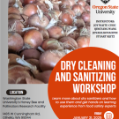 Flyer for Onion cleaning & sanitizing workshop in Oregon, 1-25-2025