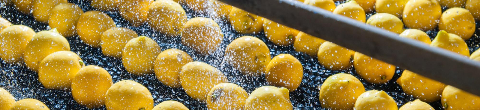 Lemons image postharvest