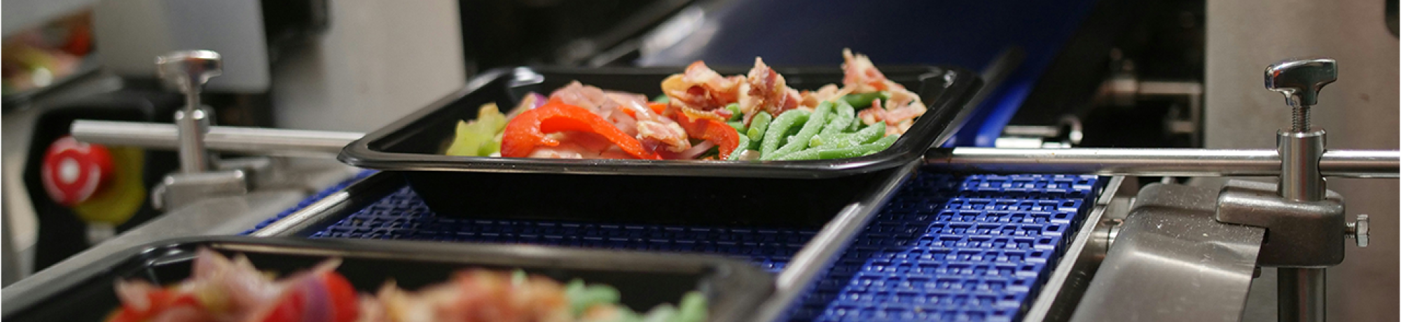 individual servings of vegetables and meat in trays moving along a conveyor belt in a food processing plant