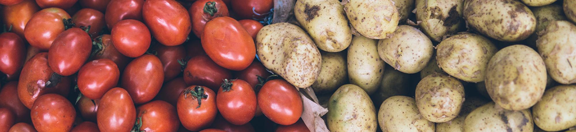 Tomatoes & Potatoes unsplash