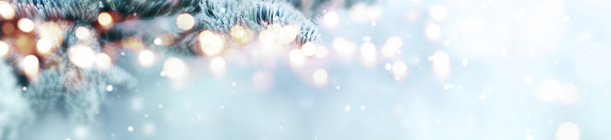 Winter Holiday image from CDC